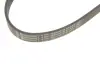 Поліклиновий ремінь (6PK1090) CITROEN C2, C3 I, C3 PLURIEL, C4, C4 GRAND PICASSO I, C4 I, C4 PICASSO I PEUGEOT 206, 207, 307 1.4D/1.6D 02.02- Contitech 6PK1090 ELAST (фото 4)