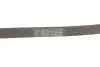 Поліклиновий ремінь (6PK1090) CITROEN C2, C3 I, C3 PLURIEL, C4, C4 GRAND PICASSO I, C4 I, C4 PICASSO I PEUGEOT 206, 207, 307 1.4D/1.6D 02.02- Contitech 6PK1090 ELAST (фото 5)