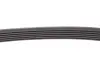 Ремінь поліклінової Conti Contitech 6PK1120 EXTRA (фото 3)