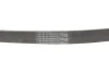 Ремінь генератора MB Sprinter (W906/W907/W910) 2.2 CDI (OM651) 06- (6PK1124) Contitech 6PK1124 ELAST (фото 5)