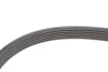 Ремінь генератора BMW 3 (G20/G80/G28)/5 (G30/F90)/X5 (G05/F95) 2.0D B47 16- Contitech 6PK1157 EXTRA (фото 4)