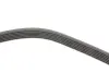Комплект ременя генератора BMW 1 (F40)/2 (F44)/X1 (F48)/X2 (F39) 1.5/2.0 B38/B48 17- Contitech 6PK1173K1 (фото 2)