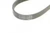 Комплект (ремінь+ролики) Contitech 6PK1200 K1 (фото 3)