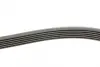 Поліклиновий ремінь AUDI A3 MITSUBISHI MIRAGE / SPACE STAR VI RENAULT LAGUNA I, SAFRANE I, SAFRANE II TOYOTA AURIS, COROLLA VW GOLF V 1.0-3.2 12.92- Contitech 6PK1240 (фото 2)