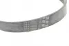 Ремінь Contitech 6PK1249 ELAST (фото 3)