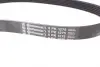Поліклиновий ремінь FIAT STILO FORD FIESTA III, SCORPIO I GAZ GAZELLE, SOBOL HONDA CIVIC VII MITSUBISHI ECLIPSE CROSS OPEL ASTRA G, ASTRA G CLASSIC, ASTRA G/KOMBI 1.5-2.7 05.89- Contitech 6PK1275 (фото 2)