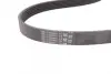 Поліклиновий ремінь FIAT STILO FORD FIESTA III, SCORPIO I GAZ GAZELLE, SOBOL HONDA CIVIC VII MITSUBISHI ECLIPSE CROSS OPEL ASTRA G, ASTRA G CLASSIC, ASTRA G/KOMBI 1.5-2.7 05.89- Contitech 6PK1275 (фото 3)