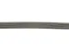 Ремінь генератора Suzuki SX4/Vitara/Jeep Renegade/Compass/Alfa Romeo Giulietta 1.6D/2.0D 10- Contitech 6PK1345 EXTRA (фото 4)