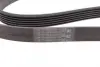 Ремінь генератора Opel Astra 1.7CDTI 04-10/ Subaru Tribeca 3.0-3.6 05-/ VW Passat 3.2 05-10 Contitech 6PK1623 (фото 2)
