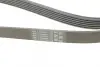 Ремінь генератора VW T4 2.4D/2.5TDI 90-03/Ford Fiesta 1.25-1.6 95-02 Contitech 6PK1767 (фото 3)