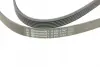 Ремінь генератора VW T4 2.4D/2.5TDI 90-03/Ford Fiesta 1.25-1.6 95-02 Contitech 6PK1767 (фото 4)