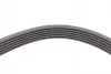Ремінь генератора MB C-class (W203) 00-02/E-class (W212) 11-15/S-class (W221) 11-13/Sprinter 2.9 Contitech 6PK2135 (фото 4)