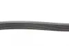 Ремінь генератора MB C-class (W203) 00-08 Contitech 6PK2190 (фото 2)