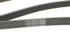 Ремінь генератора MB W202/211 2.0/2.2/2.7CDI Contitech 6PK2245 (фото 4)