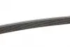 Ремінь генератора Mazda 6 2.3 02-07/CX-7 2.5MZR 09-13/Jaguar XF/XJ 3.0D 09-/Saab 900 II 2.5 93-98 Contitech 6PK2310 (фото 2)