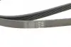 Ремінь генератора Mazda 6 2.3 02-07/CX-7 2.5MZR 09-13/Jaguar XF/XJ 3.0D 09-/Saab 900 II 2.5 93-98 Contitech 6PK2310 (фото 4)