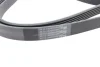 Ремінь генератора Mitsubishi Lancer 1.8 08-/Outlander 2.0-2.4 06- Contitech 6PK2563 (фото 3)