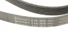 Поліклиновий ремінь JEEP CHEROKEE, LIBERTY 2.5-2.8D 09.01- Contitech 6PK2870 (фото 4)
