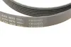 Поліклиновий ремінь JEEP CHEROKEE, LIBERTY 2.5-2.8D 09.01- Contitech 6PK2870 (фото 5)