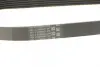 Ремінь генератора MB Sprinter 3.0CDI 07- (AC) Contitech 6PK691 ELAST (фото 3)