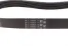 Ремінь генератора Ford Transit 2.0Di/TDCi 00- (-AC) Contitech 6PK831 ELAST (фото 2)