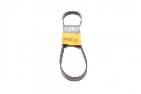 Ремінь генератора VW Polo/Up 11-/Skoda Fabia 14-/Seat Ibiza 1.0/1.6 15- Contitech 6PK989 ELAST