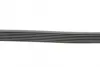Поліклиновий ремінь NISSAN QASHQAI I TOYOTA LAND CRUISER, LAND CRUISER 90, LAND CRUISER PRADO 1.6/3.0D 08.00- Contitech 7PK1153 (фото 2)