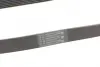 Поліклиновий ремінь NISSAN QASHQAI I TOYOTA LAND CRUISER, LAND CRUISER 90, LAND CRUISER PRADO 1.6/3.0D 08.00- Contitech 7PK1153 (фото 3)