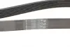 Ремінь генератора Toyota Avensis 2.0 D-4D 08-18 Contitech 7PK1370 (фото 3)