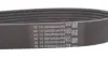 Ремінь генератора Honda Accord VII 2.0 03-08/Suzuki Grand Vitara 1.9DDiS 05-15 Contitech 7PK1388 (фото 4)