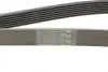 Ремінь Contitech 7PK1580 (фото 4)