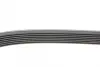 Ремінь генератора Renault Master/Opel Movano 2.3dCi 10-/Chrysler 300C 3.0 V6 CRD 10-12 Contitech 7PK2054 (фото 2)