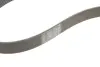 Ремінь генератора BMW 3 (F30/F80)/5 (F10)/ X5 (F15/F85)/ X6 (F16/F86) 13- (S55) Contitech 8PK1395 (фото 5)