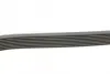 Поліклиновий ремінь MERCEDES S (W140) CLAAS ARES 3.2 03.91- Contitech 8PK2440 (фото 2)
