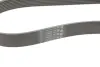 Ремінь генератора BMW X1 (F48)/X2 (F39) 1.5 hybrid 20- B38 (8PK954) Contitech 8PK954 EXTRA (фото 3)