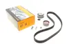 Комплект ГРМ (ремінь + ролик) AUDI A3, A4 B6, A4 B7 VW GOLF V, TOURAN 2.0/2.0D 07.02-11.08 Contitech CT1056K1 (фото 1)
