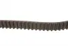 Комплект ГРМ + помпа Citroen Nemo/Xsara/C1/C2/C3/Peugeot Bipper/307/206/107 1.4HDI 05- (25x144z) Contitech CT1063WP2 (фото 2)