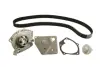 Комплект ГРМ + помпа Nissan Primera 1.9dCi 02-/Renault Scenic/Megane 1.9dCi 03-(26x133z) Contitech CT1064 WP2 (фото 2)
