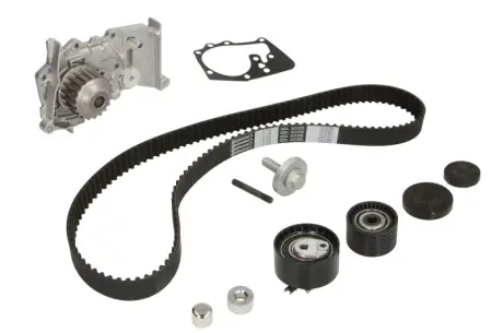 Комплект ГРМ + помпа Renault Clio III/Laguna III/Megane III/ Scenic III 1.6 16V 05- (27.4x132z) Contitech CT1179WP4
