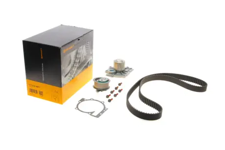 Комплект (ремінь+ролик+помпа) Contitech CT 1216 WP1