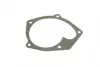 Комплект прокладок (повний) Renault Kangoo 1.9 dCi 97- (без прокладки ГБЦ) CORTECO 430659P (фото 11)