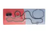 Комплект прокладок (нижній) Citroen Berlingo/Peugeot Partner 1.2 PureTech 18- 49118900