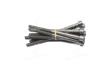 Болти головки (к-кт 10шт.) Toyota Rav4 2.0/2.4 00-13 CORTECO 49362930