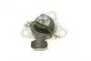 Подушка двигуна (R) Renault Megane I/Scenic I 1.9dTi/dCi 97-03 CORTECO 80001199 (фото 6)