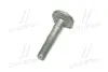 Ексцентриковий гвинт HYUNDAI GENESIS, SANTA FÉ III 2.0-3.8 01.08- CTR GC0004 (фото 2)