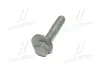 Ексцентриковий гвинт HYUNDAI GENESIS, SANTA FÉ III 2.0-3.8 01.08- CTR GC0004 (фото 4)