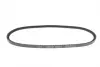 Ремінь генератора VW LT 2.4D/TD -96 DAYCO 10A0813C (фото 2)