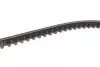 Ремінь генератора Nissan Terrano 2.4 93-07/BMW 3 (E30) 1.6/1.8 82-9/Audi 80 1.6/2.0 75-96 (10x905) DAYCO 10A0905C (фото 4)
