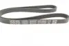 Ремінь поліклиновий DAYCO 4PK1022EE (фото 3)