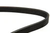 Ремінь П-клиновий 4EPK970 (Elastic) VW CRAFTER 30-50 06 Dayco 4PK970EE (фото 2)